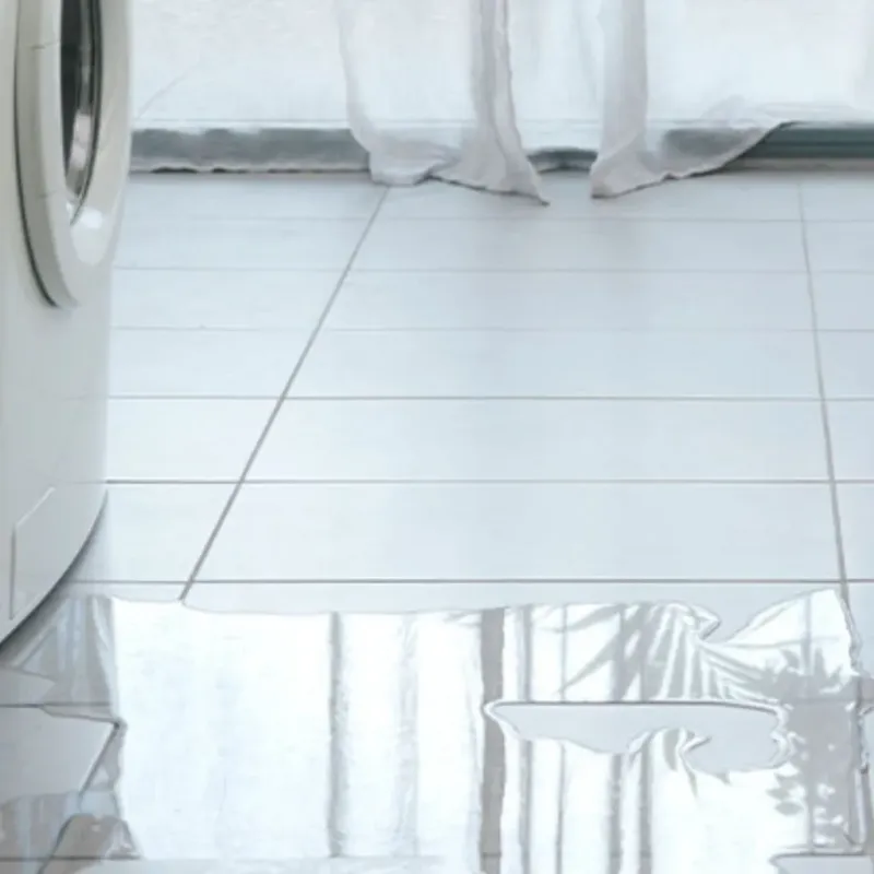 Appliance Leak Cleanup in Wahneta, FL